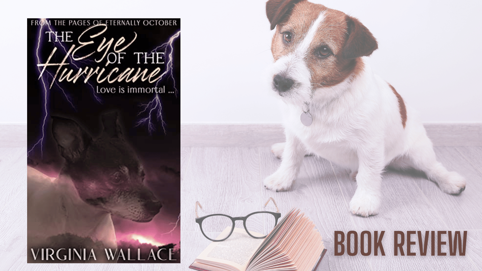 Sthort story review: The Eye of the Hurricane by Virginia Wallace